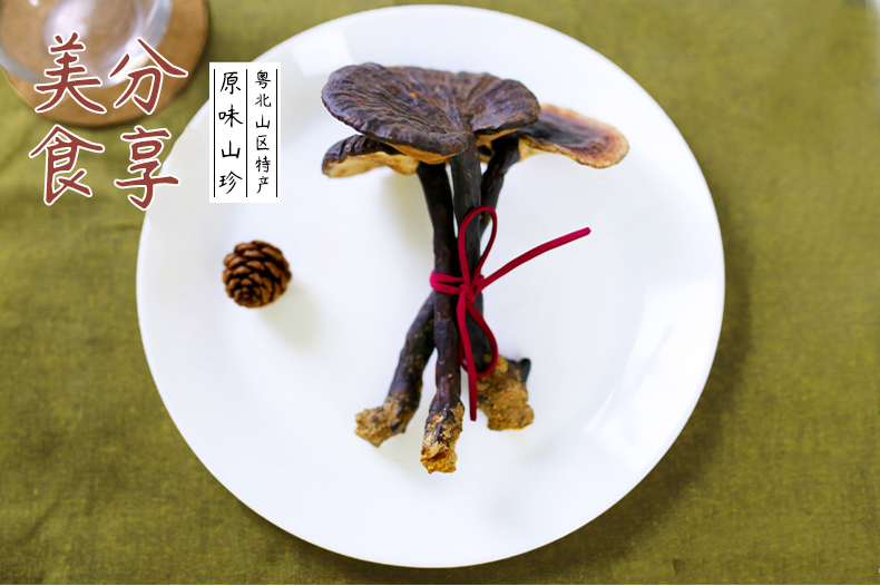 野生黑灵芝_06.jpg