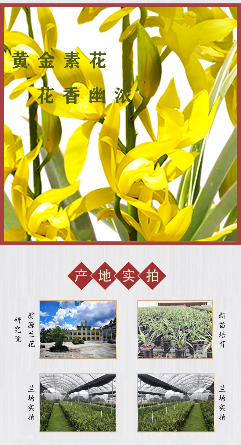 （详情页）模板---副本_04.jpg