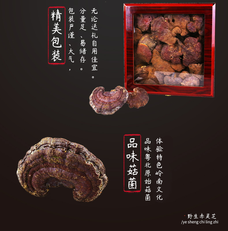 野生赤灵芝_03.jpg