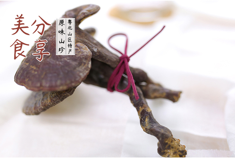 野生赤灵芝_06.jpg
