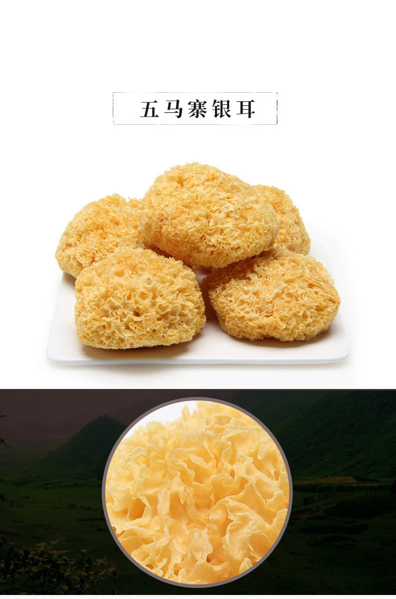 银耳_01.jpg