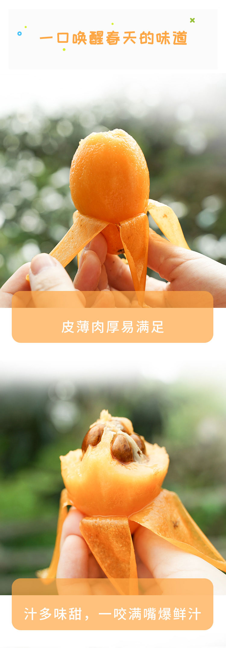 枇杷详情页_03.jpg