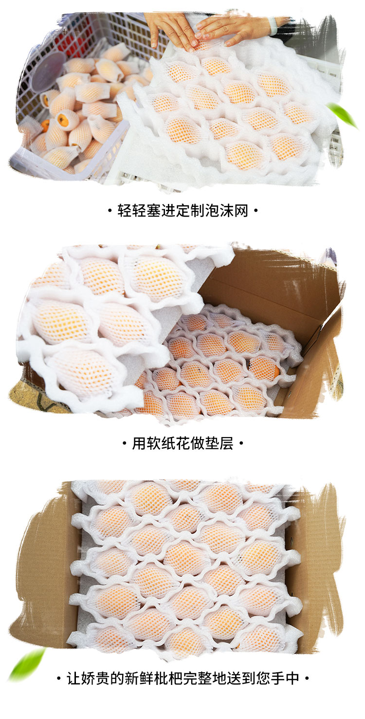 枇杷详情页_06.jpg