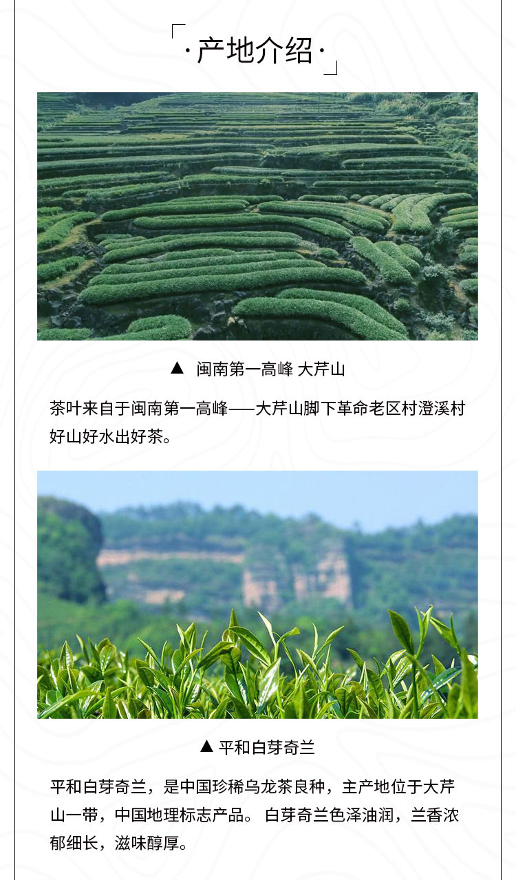 芳林新叶办公茶_03.jpg