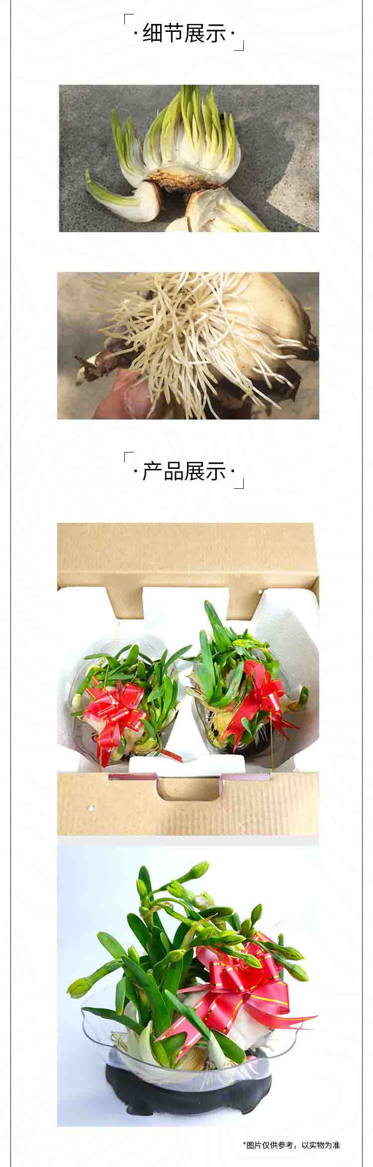 雕刻A_0000.jpg