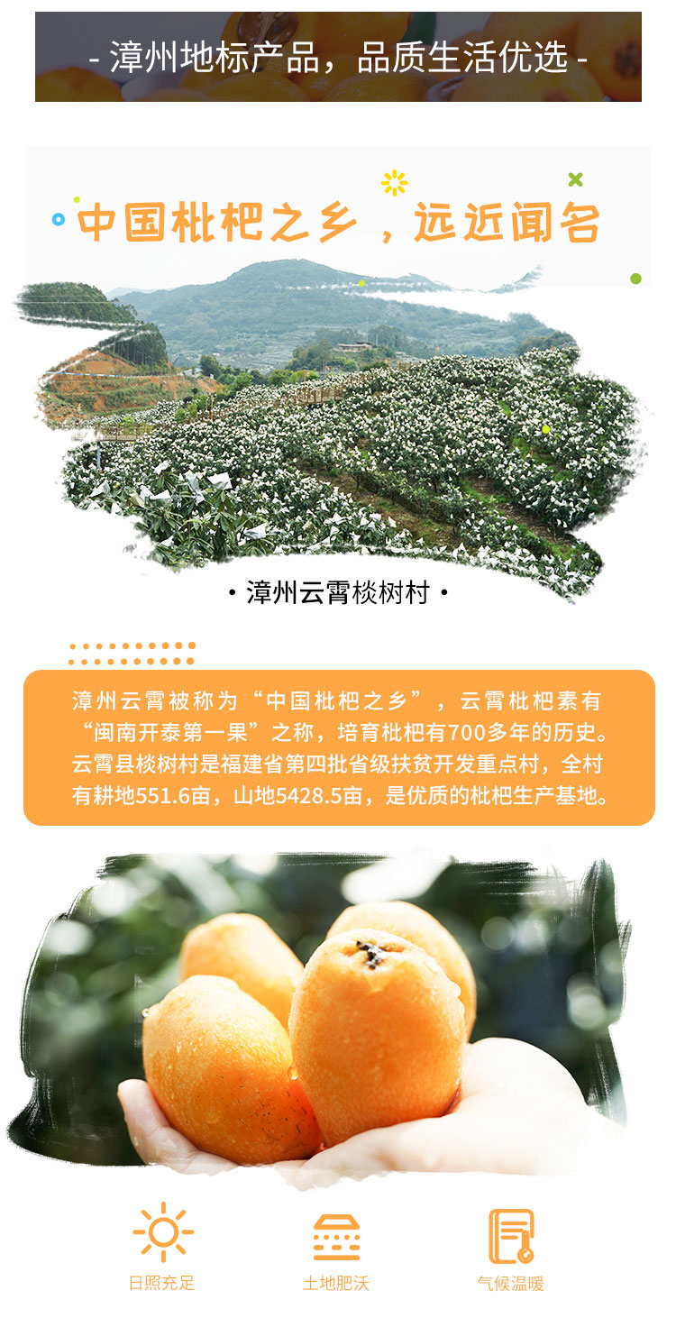 枇杷详情页_02.jpg