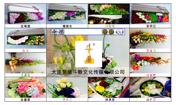 图11.jpg