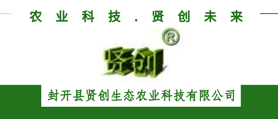 副本_未命名_横版配图_2021-12-13+12_45_00.png