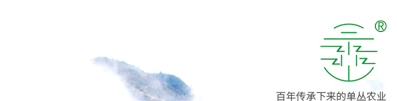 详情页底部模板_01.jpg
