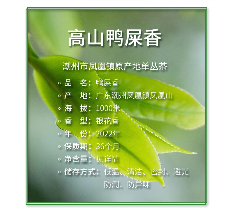 高山鸭屎香详情页头部_02.jpg
