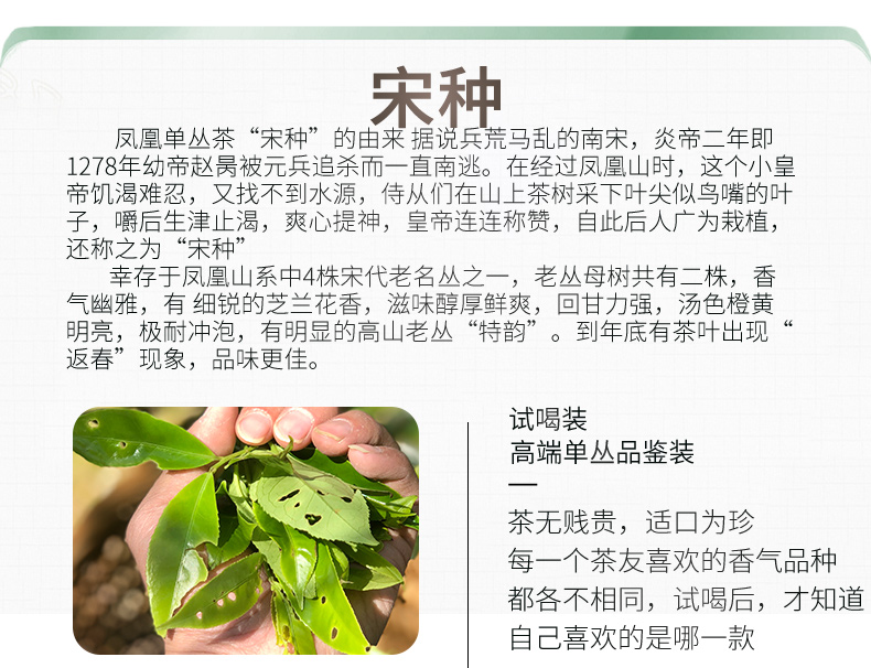宋种详情页头部_03.jpg
